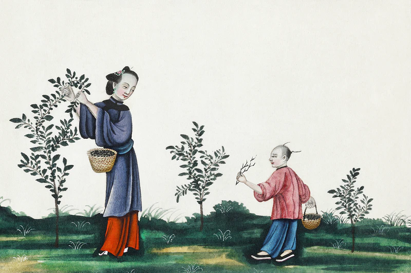 Confucio Cina Meng Mu Mencio